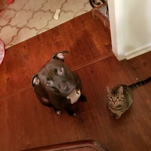 Meet your Posher, Jerry